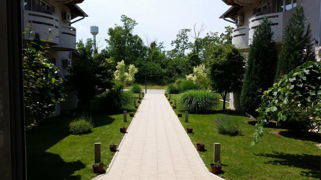Vila Dincic Doo Veliko Gradište Zewnętrze zdjęcie