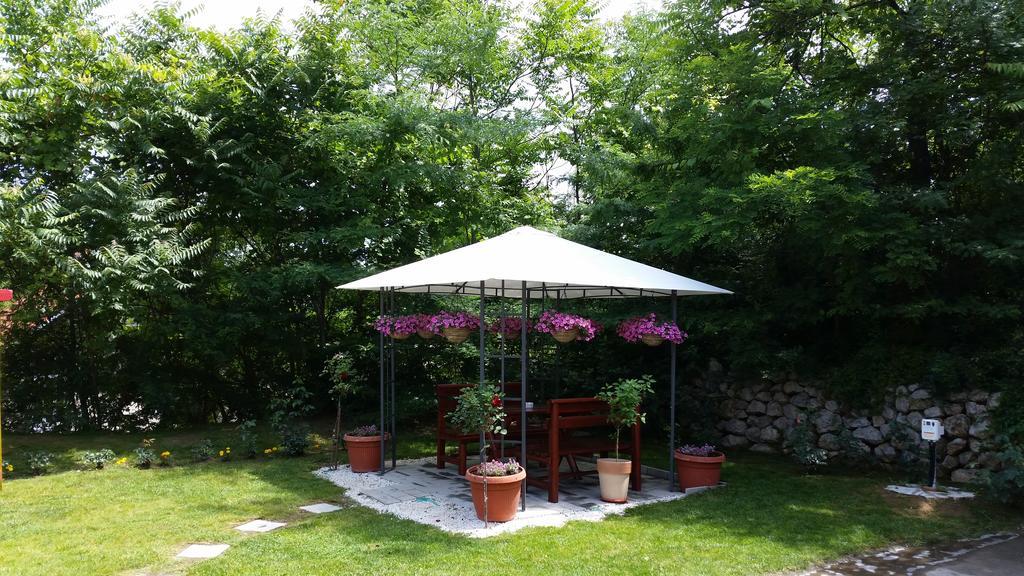 Vila Dincic Doo Veliko Gradište Zewnętrze zdjęcie