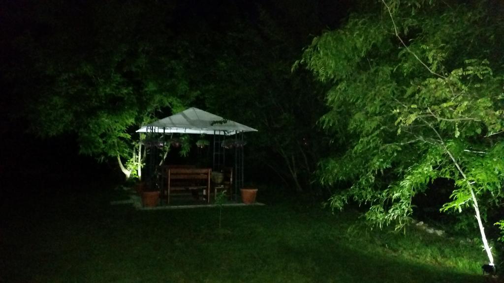 Vila Dincic Doo Veliko Gradište Zewnętrze zdjęcie